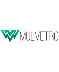 logo Mulvetro