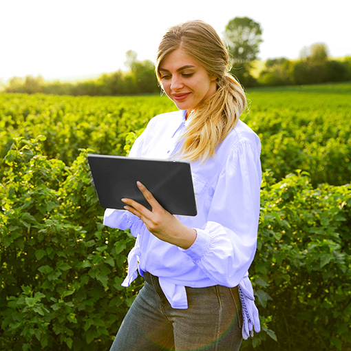 kobieta z tabletem w polu