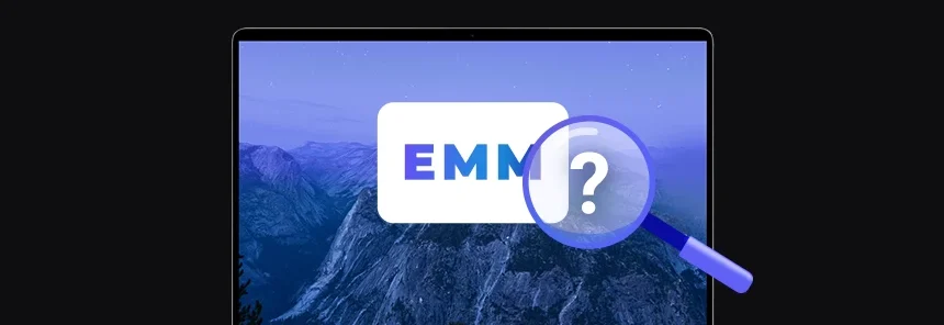 banner with a laptop, on it a tile with the inscription 'EMM' under a magnifying glass