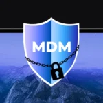 a shield bearing the inscription ‘MDM’, encircled by a chain and a padlock
