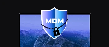 a shield bearing the inscription ‘MDM’, encircled by a chain and a padlock